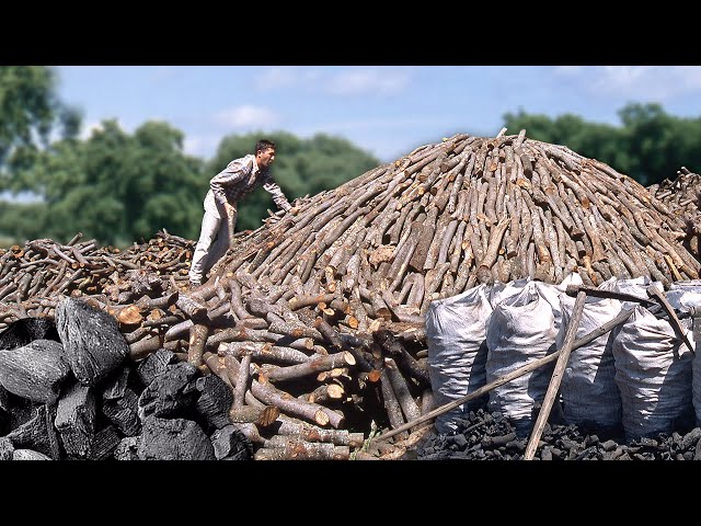 Assembly of an ancestral CHARCOAL BURNER and the transformation of its firewood into charcoal