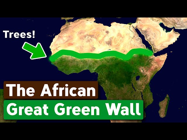 Why Africa is Building The Great Green Wall