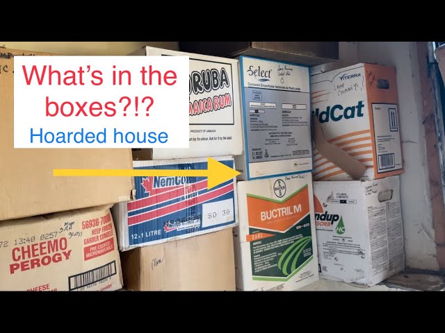 Pt 6.1 What's in all these boxes?!? exploring a hoarded home!