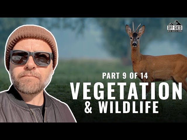 I Have Food & Fuel Forever! This Is How : Vegetation & Wildlife