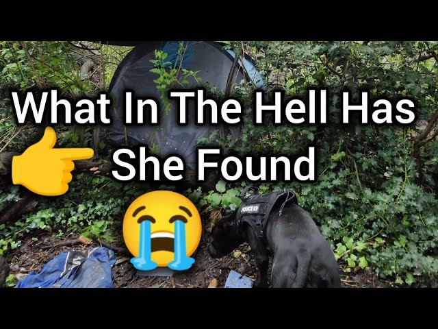 On Our Way Around The Park When My Retired Police K9 Made A Shocking Discovery In The Woods 🤯