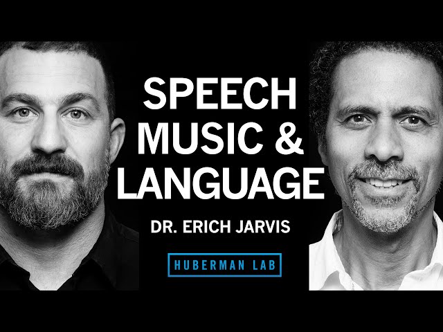 Dr. Erich Jarvis: The Neuroscience of Speech, Language & Music | Huberman Lab Podcast #87