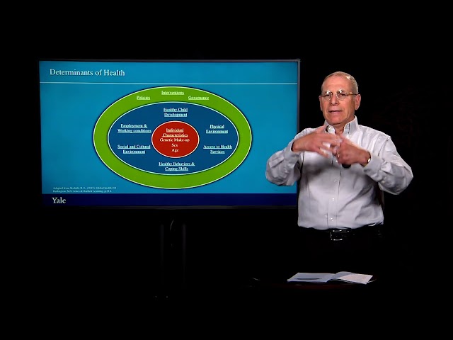 Intersectoral Approaches for Better Health | Essentials of Global Health with Richard Skolnik