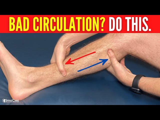 How to INSTANTLY Improve Leg Circulation and Blood Flow