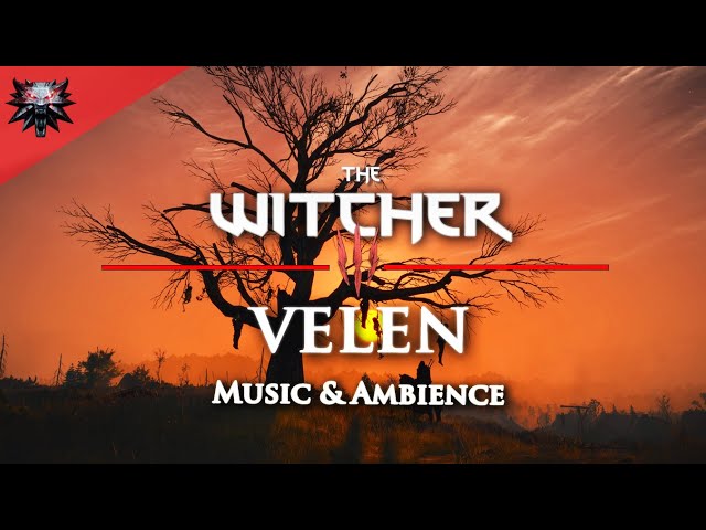 The Witcher 3 - Velen - Relaxing & Emotional Music and Ambience #relax #study #meditation