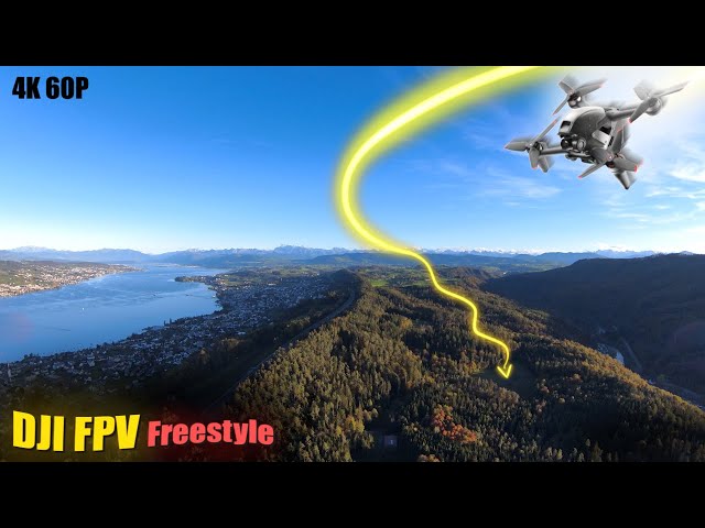 Freestyle and Cinematic DJI FPV in Forest, 4K60P