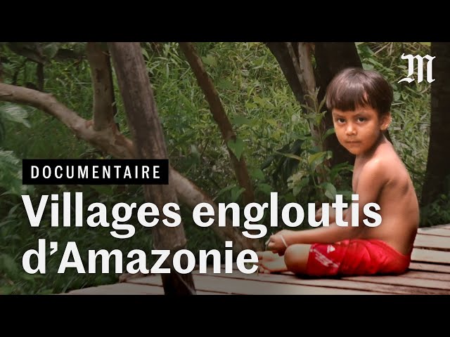 Pourquoi des villages d'Amazonie disparaissent