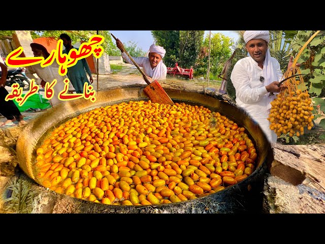 Traditional Dates Processing | Chohara Kesy Banta Hai | How to Make dry Dates | Village Food Secrets