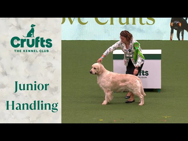 Can't get enough of them!! 🐶 International Junior Handling Competition Part 2 | Crufts 2024