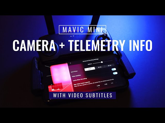 DJI Mavic Mini / Mini 2 Camera + Telemetry Data (With Video Subtitles)