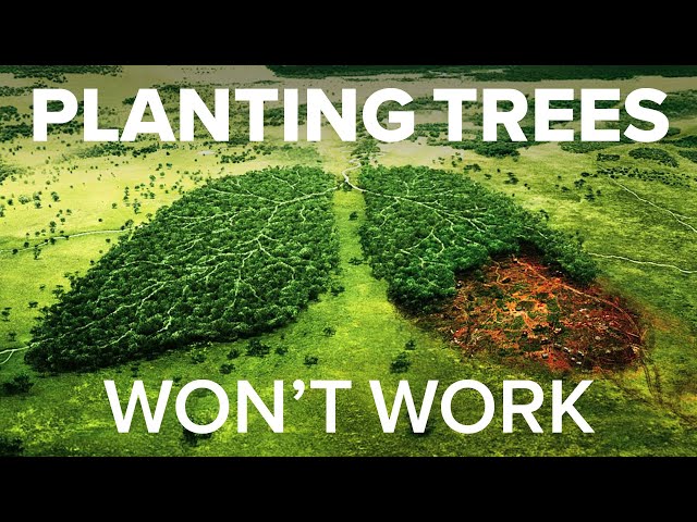 Why planting trees WON'T stop climate change