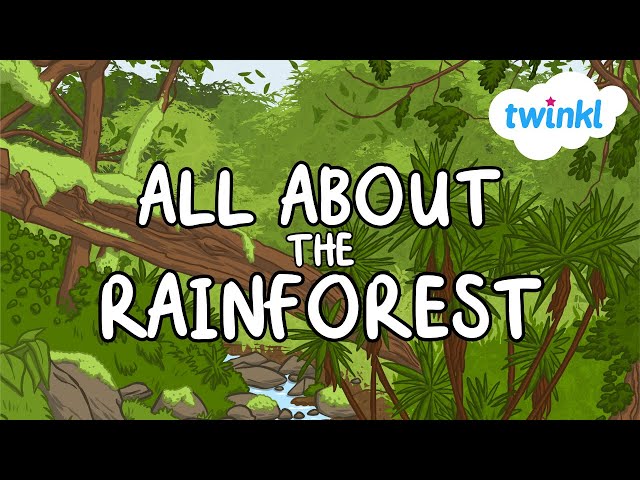 Rainforest Fun Facts for Kids | World Rainforest Day | Twinkl USA