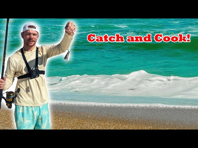 Surf Fishing Catch and Cook!