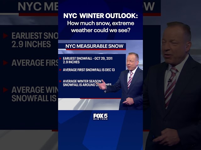 How cold could it get in the NYC area? Will there be a nor'easter this winter?