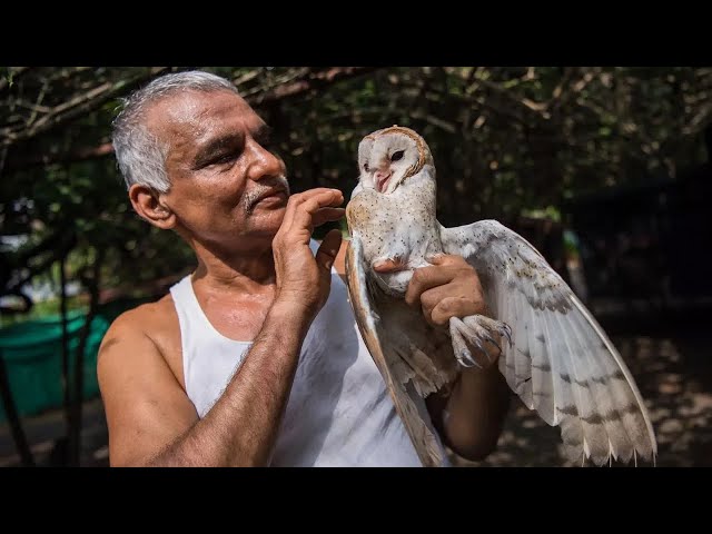 Indian Doctors Built An Ark For Wild Animals | WILDEST ANIMAL RESCUES