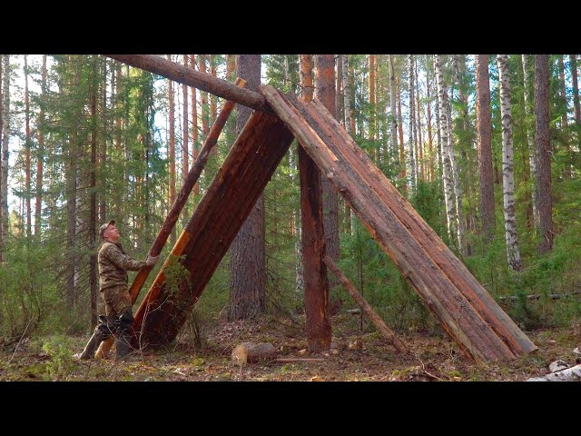 BUILDING A LARGE LOG CABIN ALONE. 4 DAYS IN THE WILD FOREST.