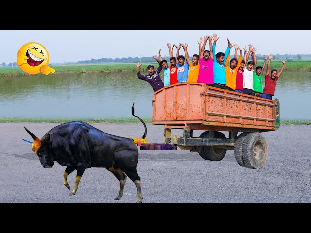 Must Watch The Robber Bullock Cart New Funny Comedy Video 2024 😎Totally Amazing Comedy Episode 282