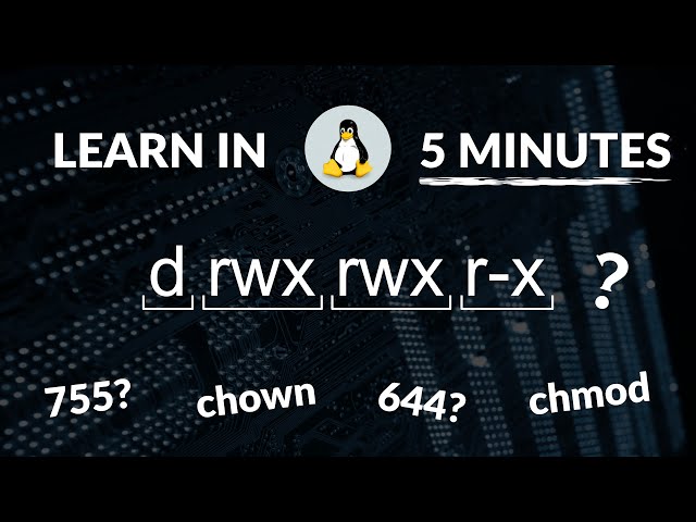 Linux File Permissions in 5 Minutes | MUST Know!