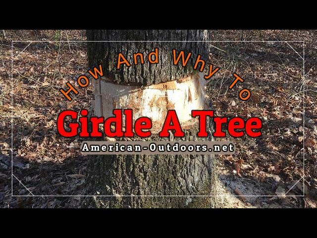 How And Why To Girdle A Tree {Tree Girdling}