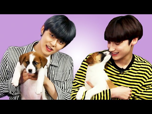 TXT Plays With Puppies While Answering Fan Questions