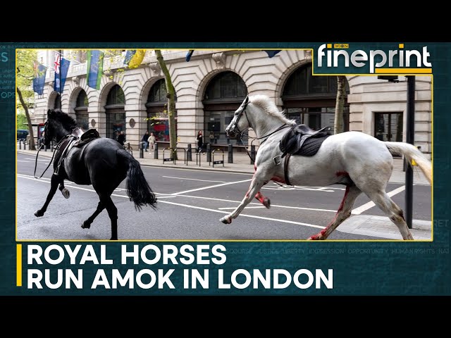 UK: Royal Cavalry Horses run amok in central London | WION Fineprint