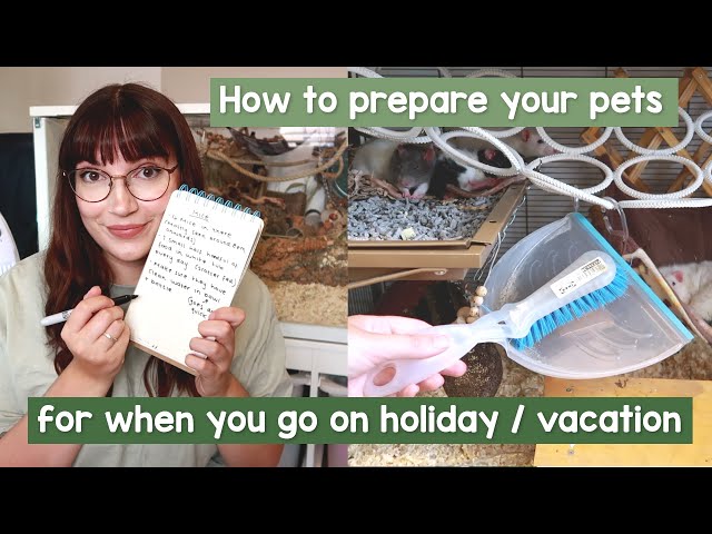 Preparing pets for going on Holiday / Vacation | VLOG