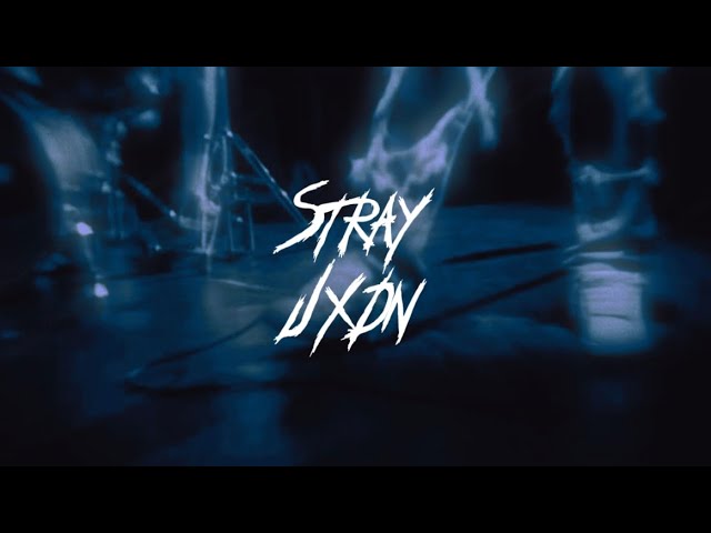 JXDN - STRAY (lyrics)