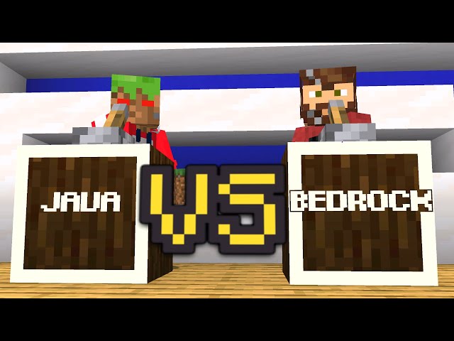 The Minecraft Java VS Bedrock Debate with @Prowl8413