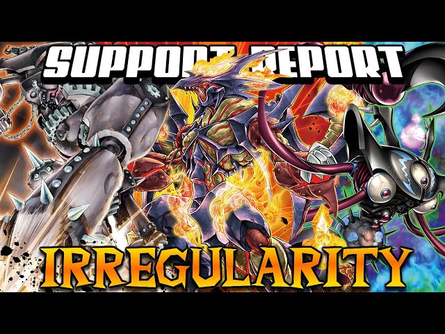 Support Report 2023 - Part 2: Irregularity