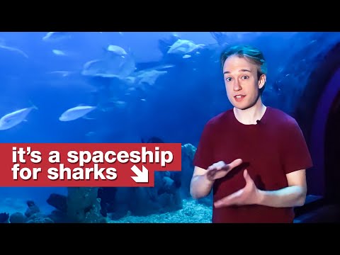 This changed my mind about aquariums.