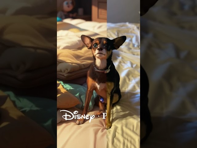 Mi perro versión Disney 🥺