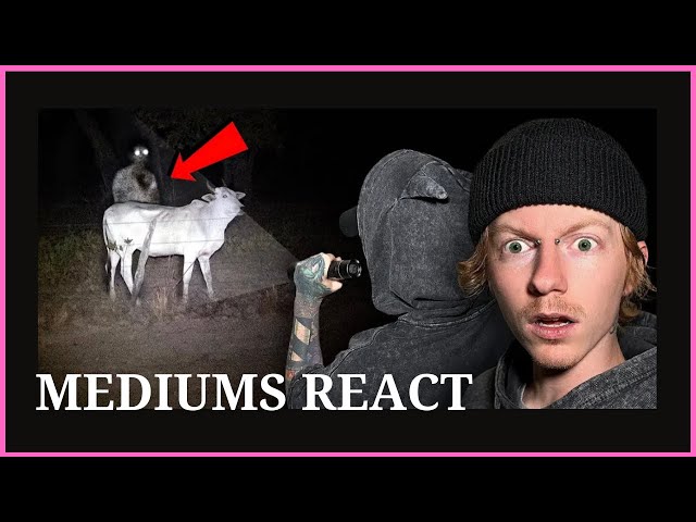 MEDIUMS REACT - Twin Paranormal in DIABLO'S FOREST | KAYS CROSS