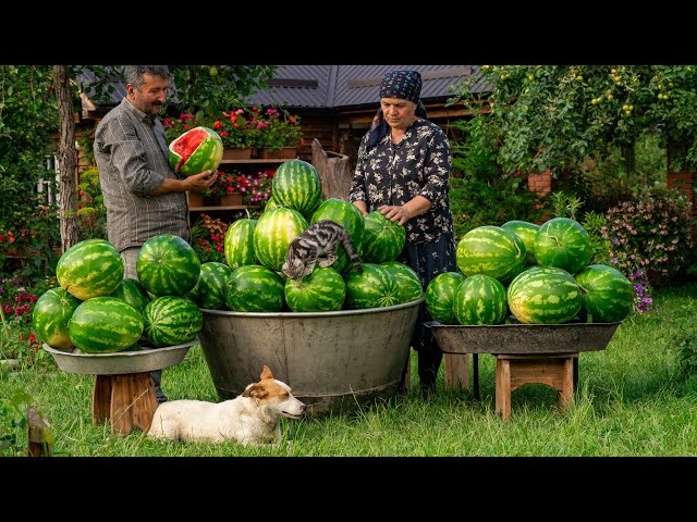 Summer Watermelon Delights: Effortless Watermelon Treats!