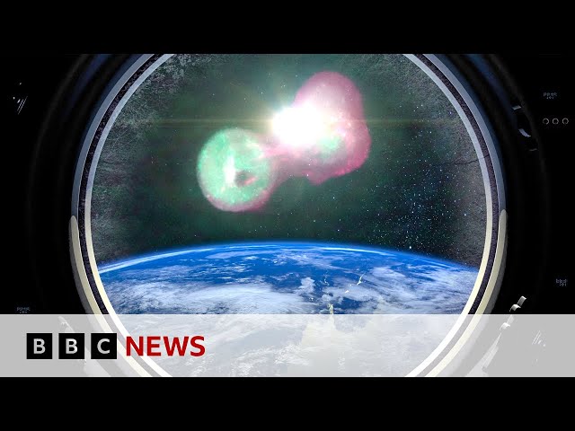 What happens when you send cancer into space? | BBC News