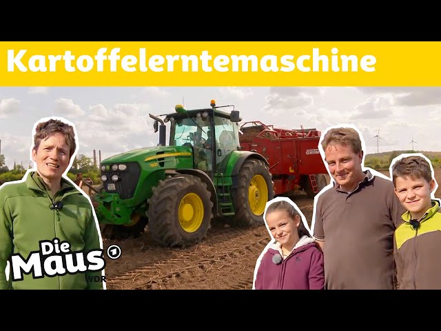 So werden Kartoffeln geerntet | DieMaus | WDR