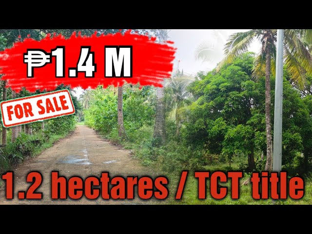 #76 Lot for sale ₱1.4M / 1.2 hectares TCT title barangay road