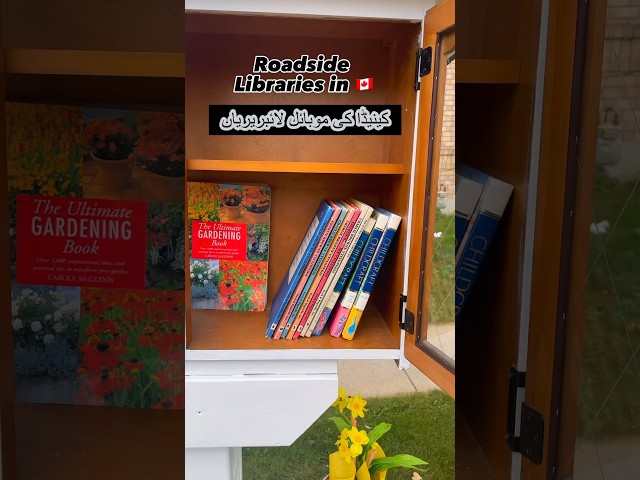Roadside Libraries in Canada!!  #livingincanada #canadavlogs