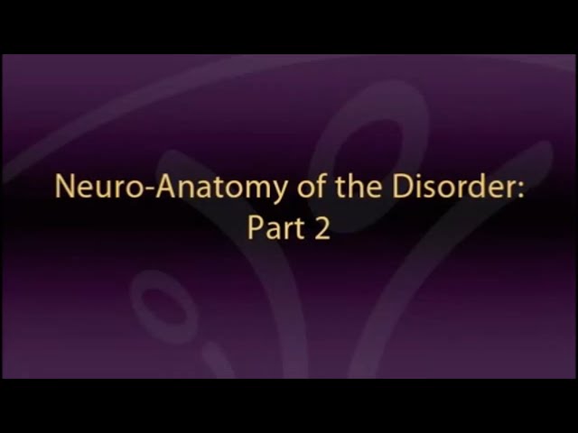The Neuroanatomy of ADHD and thus how to treat ADHD - CADDAC - Dr Russel Barkley part 2ALL