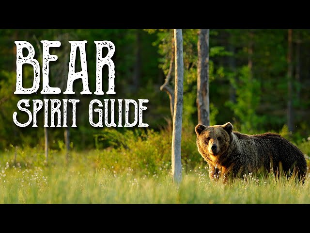 Bear Spirit Guide - Ask the Spirit Guides Oracle - Totem Animal - Power Animal - Magical Crafting