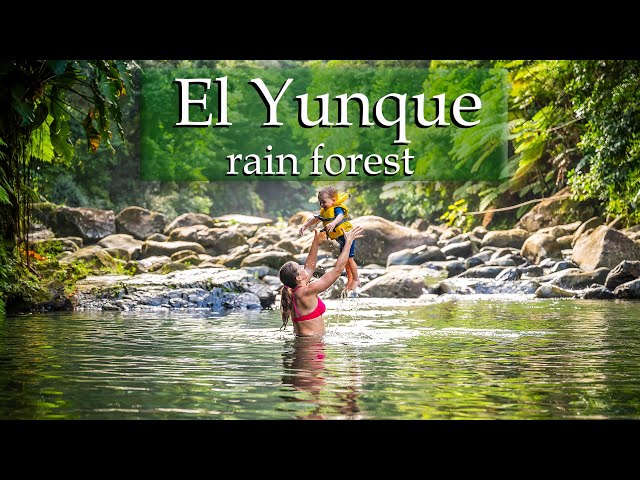 Visiting El Yunque rain forest in Puerto Rico