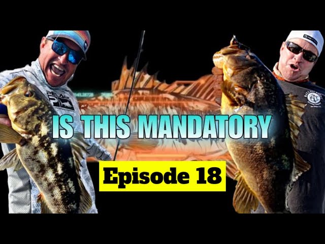 Is This Mandatory - Saltwater Bass Tournament and Custom Lure Making  Ep 18 Reebs Lures