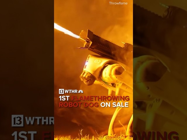 1st ever flamethrowing robot dog on sale