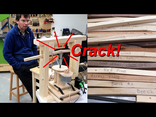What wood species is strongest, hardest, stiffest, best for chairs, tables, or bow making?