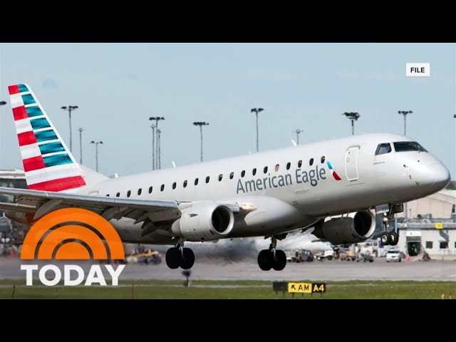 Flight out of Reagan National diverted after possible bird strike