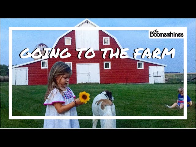Going To The Farm On -- Day 3 of our 3rd Cross Country Road Trip with kids and a dog