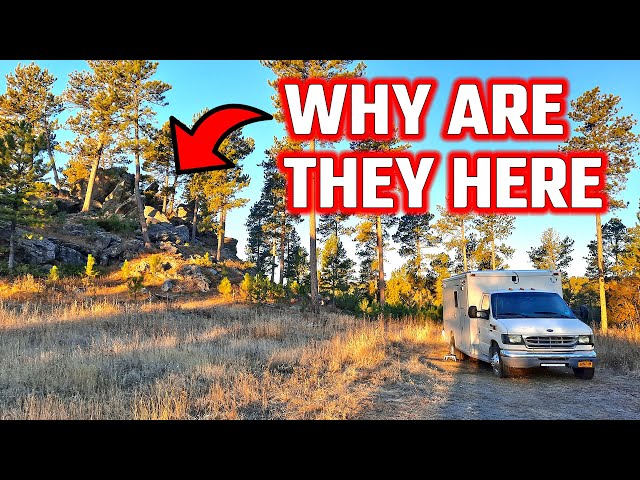 We Saw People Living In The National Forest | Ambulance Conversion Life