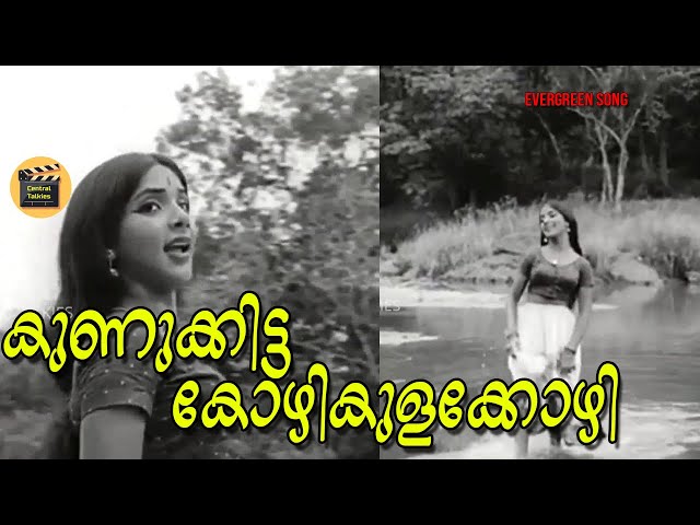 കുണുക്കിട്ട കോഴികുളക്കോഴി Kunukkitta Kozhi | Malayalam Evergreen Song| Chembarathi | Super Hit Song