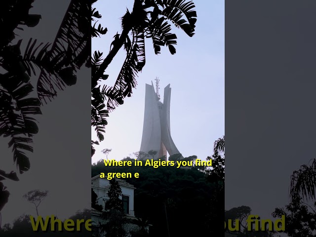 Explore Algiers’ ‘Kanz’: An Interactive Quiz on Algeria’s Hidden Gem  #shorts