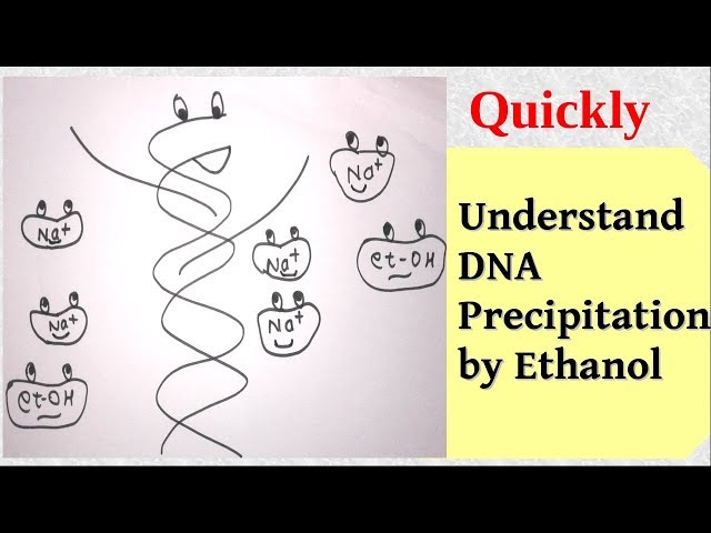 DNA precipitation