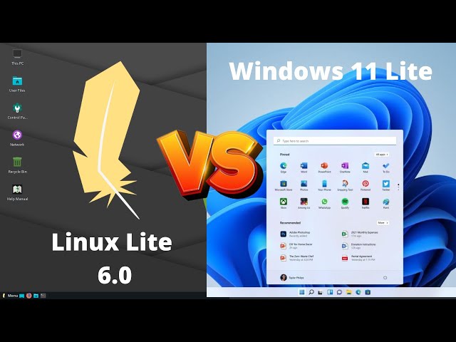 Windows 11 Lite VS Linux Lite 6.0 (RAM Consumption)